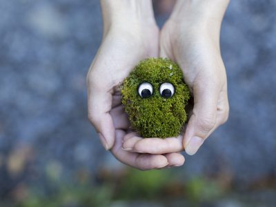a person holding a moss ball with googly eyes