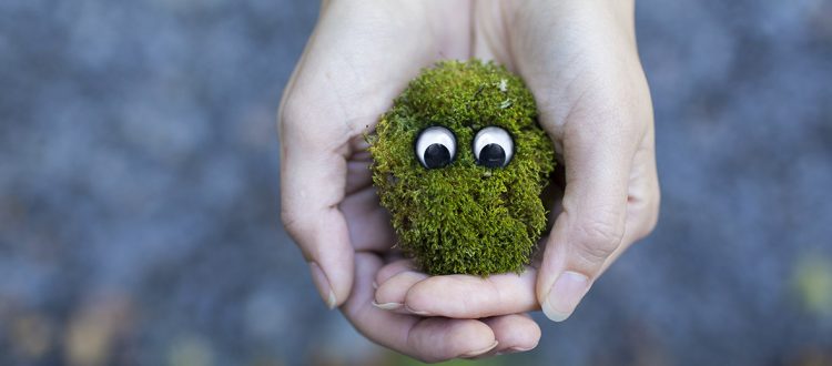 a person holding a moss ball with googly eyes