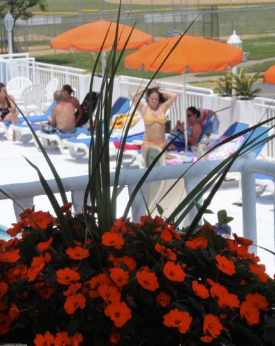 No better place to be than Wildwood Crest at the Crusader!