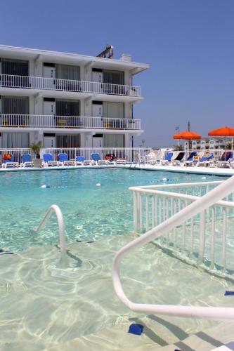 Great day for lounging at the pool!